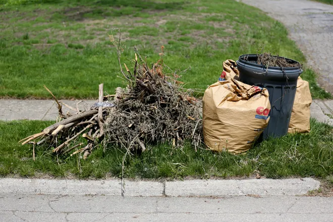 Yard Waste Removal