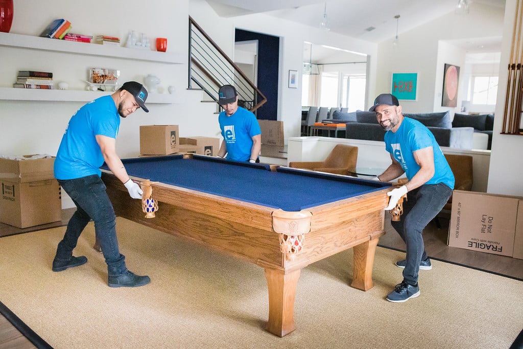 Pool/Ping Pong Table